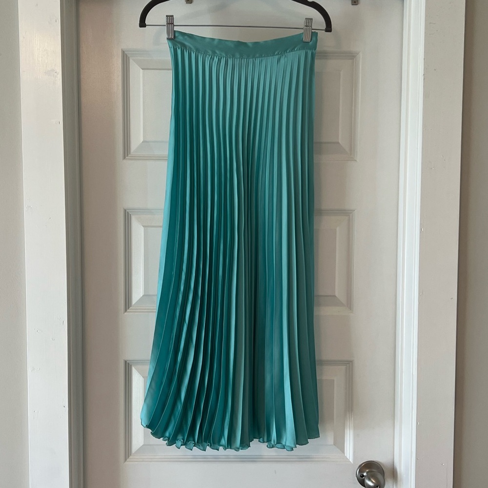 Zara Skirt